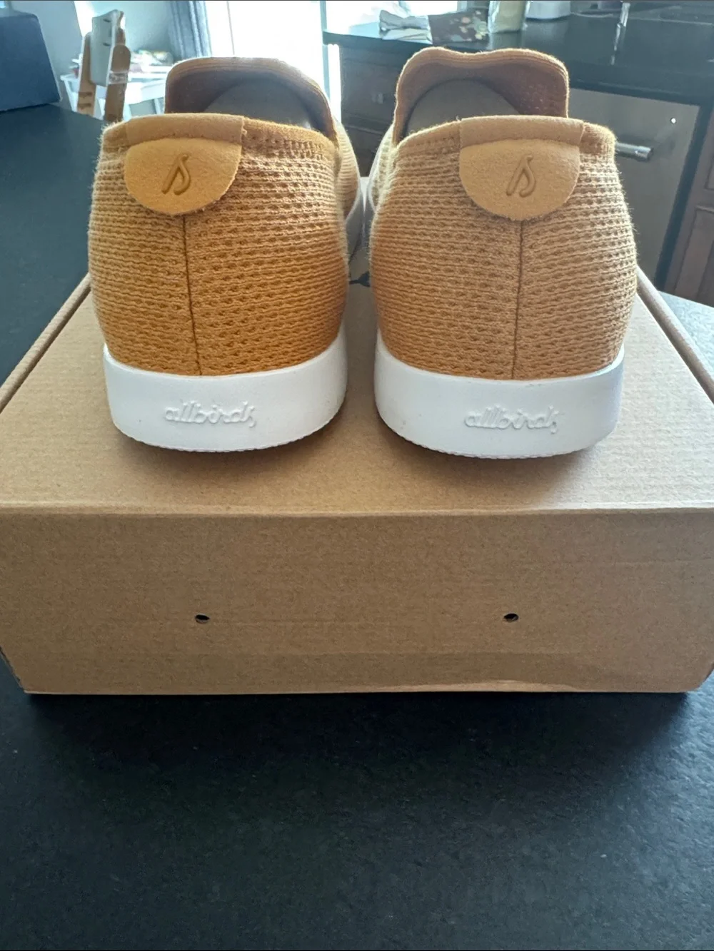 NWT Men’s Allbirds Tree Loungers 🔟